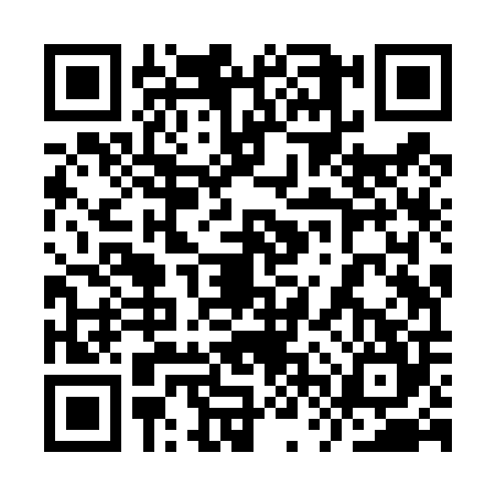 QR code for 9VZT049