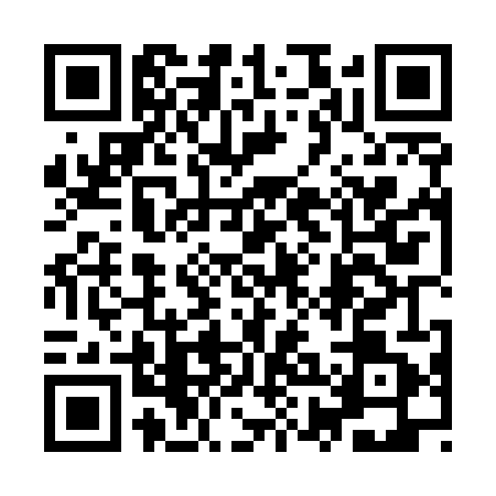 QR code for 9XLU411
