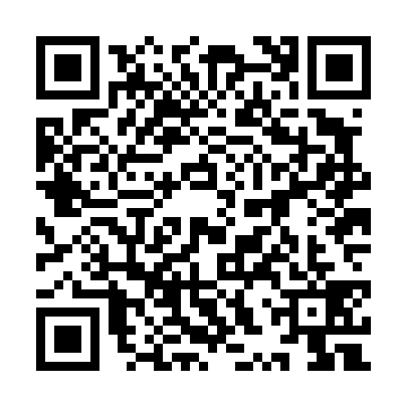 QR code for 9XZD393