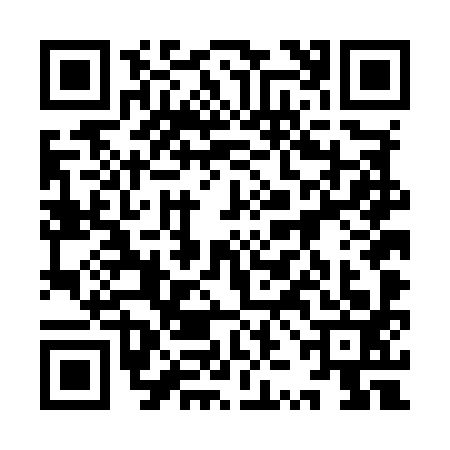 QR code for 9ZDM938