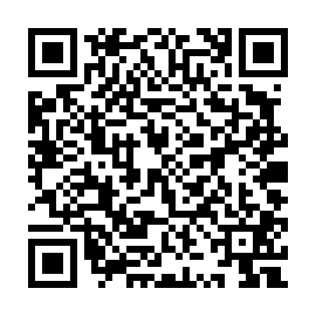 QR code for 9ZDT013