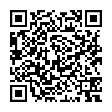 QR code for 9ZII381