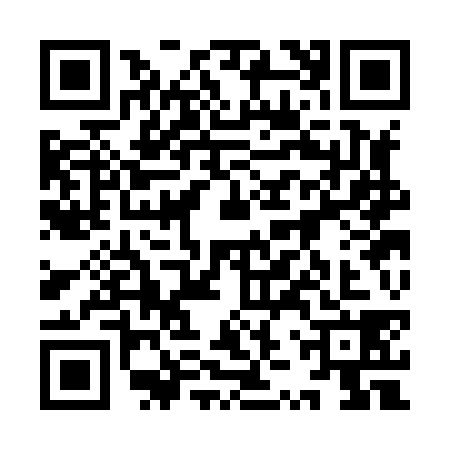 QR code for 9ZSH385
