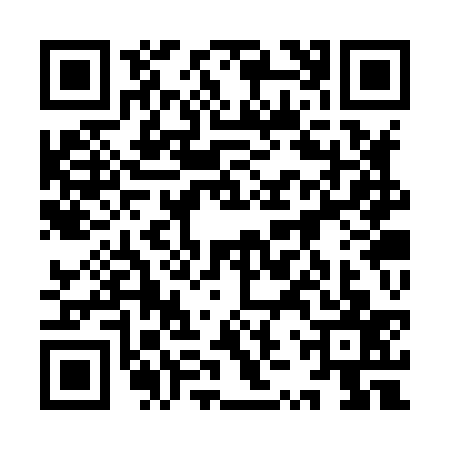 QR code for 9ZSX379
