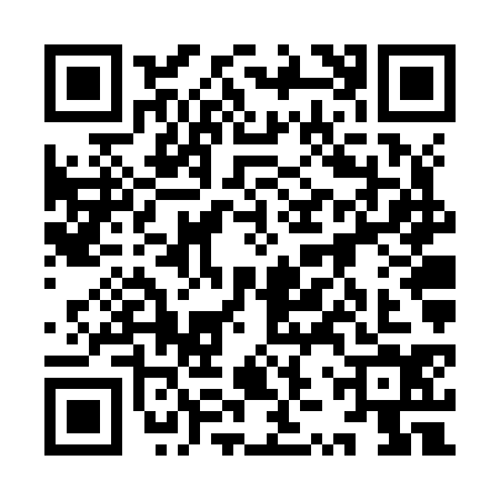 QR code for 9ZVZ341