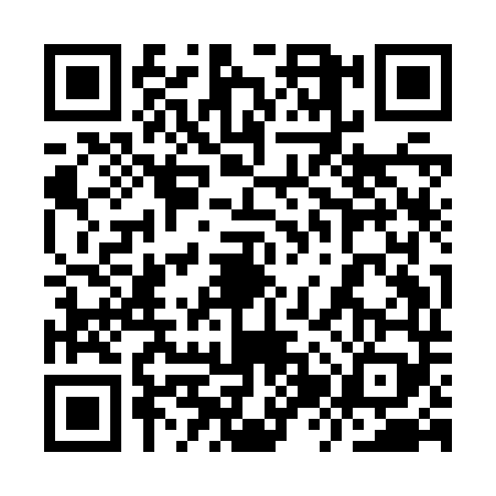 QR code for 9ZYJ491