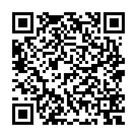 QR code for AG96595