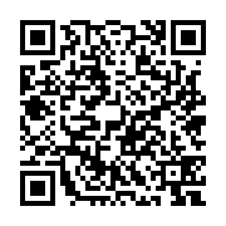 QR code for ALU1395