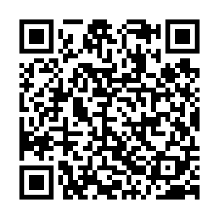 QR code for plate ARK V09