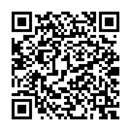 QR code for BADPUNS