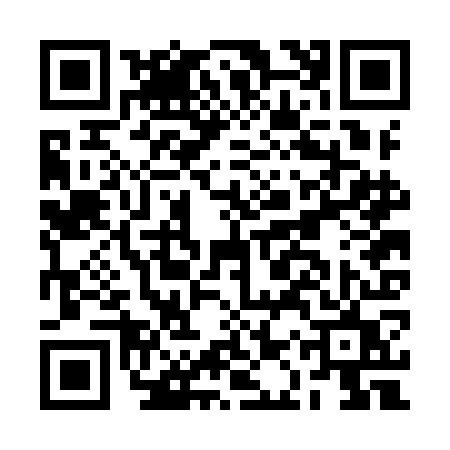 QR code for BARIOUS