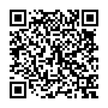QR code for plate BFS L30