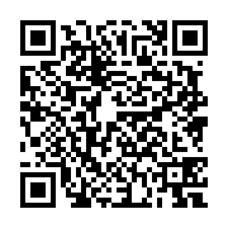 QR code for BGX4381
