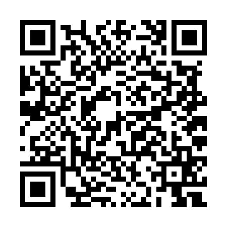 QR code for BJVM653