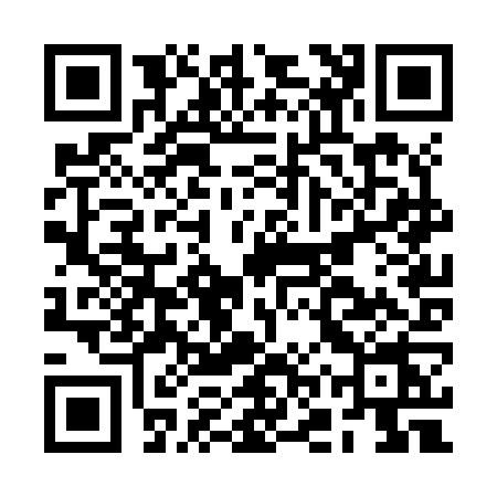 QR code for BORZ