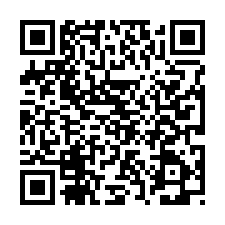 QR code for BSL3958