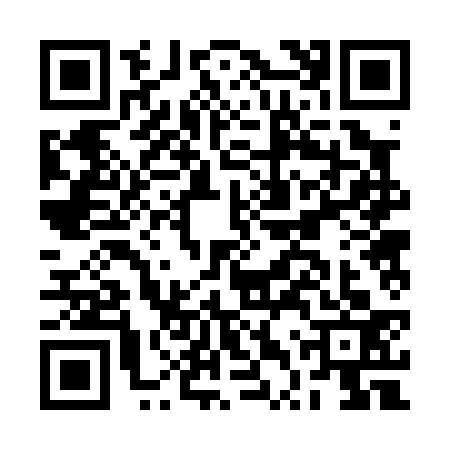 QR code for BTR0333