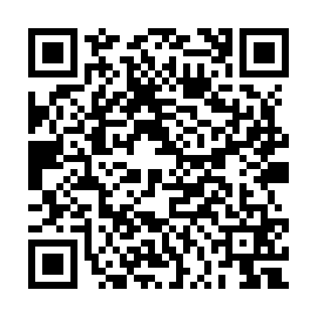 QR code for BVIZ614