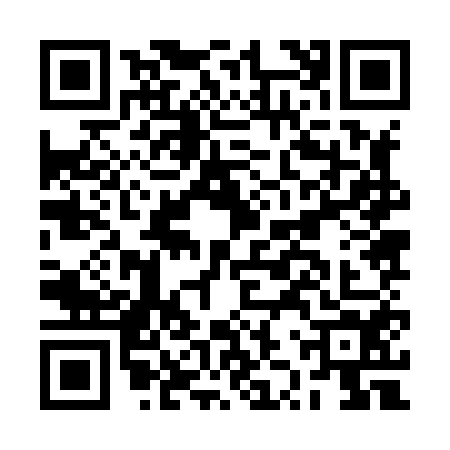 QR code for BZZ8541