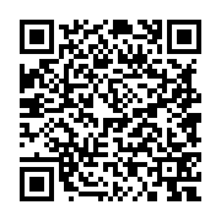 QR code for C048738