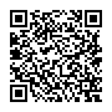 QR code for C618251