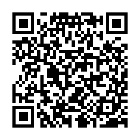 QR code for C919D1