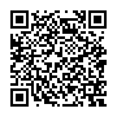 QR code for CA81Z48