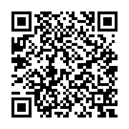 QR code for CAO3U46