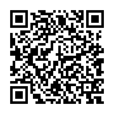 QR code for CH49K29