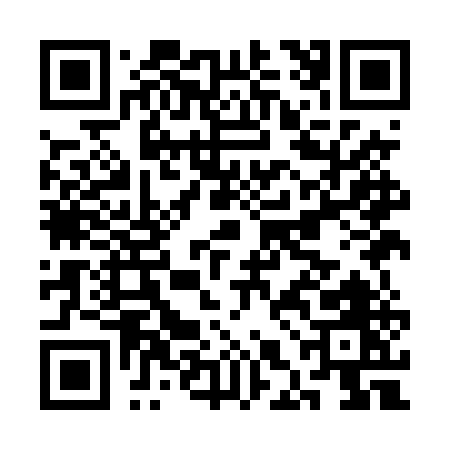 QR code for CHIDU