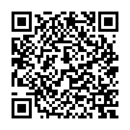 QR code for CK13777