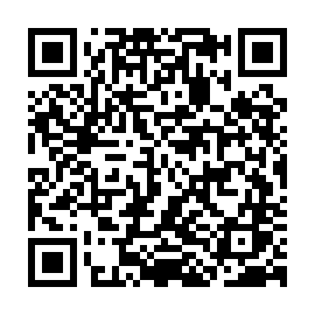 QR code for plate C LGANS