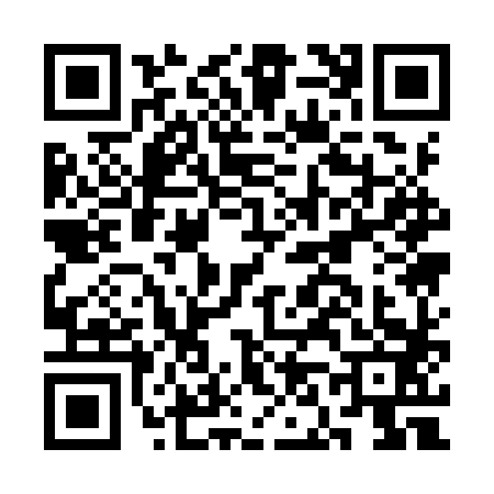 QR code for CN19X38