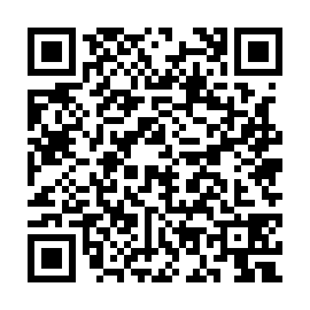 QR code for CO51381