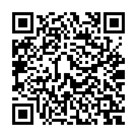 QR code for CONSULE