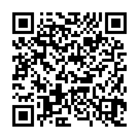 QR code for D009Z0
