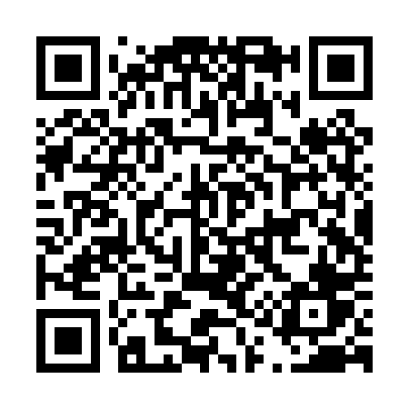 QR code for D12PPV