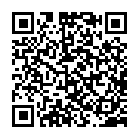QR code for D201Z1