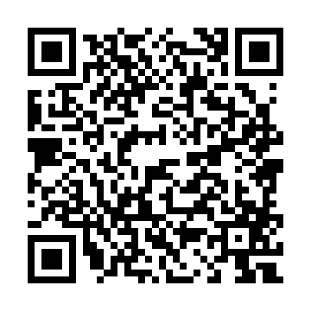 QR code for D383872