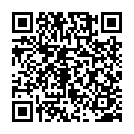 QR code for DANSER1