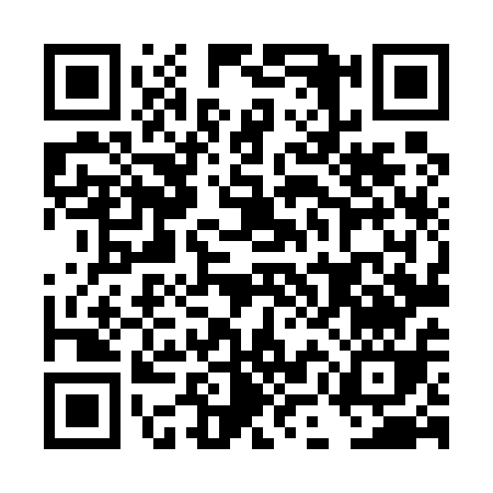 QR code for plate DML-51