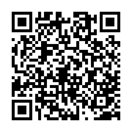 QR code for DP228VJ