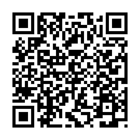 QR code for DP451XP