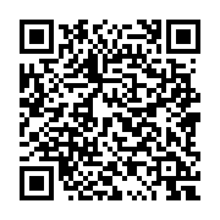 QR code for DP878DM