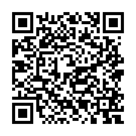QR code for E597417