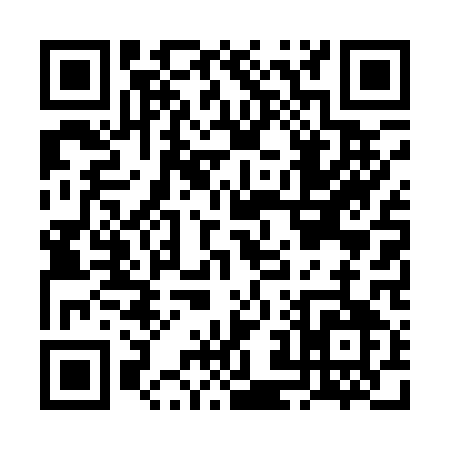 QR code for FJ411