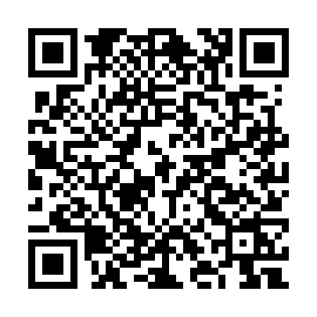 QR code for FLOW