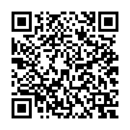 QR code for GDTMSRL