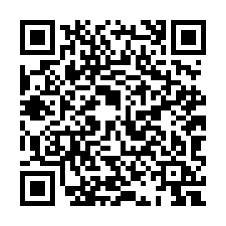 QR code for HANDICA