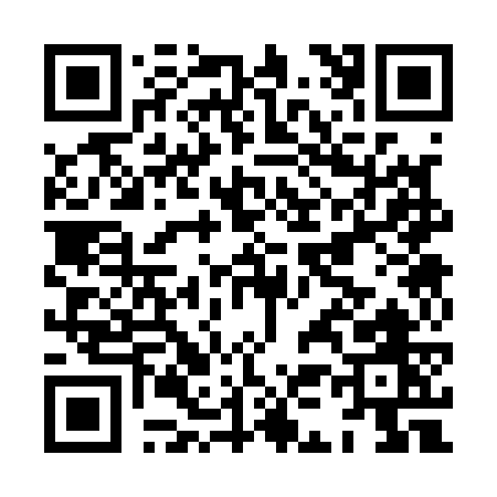 QR code for HK317